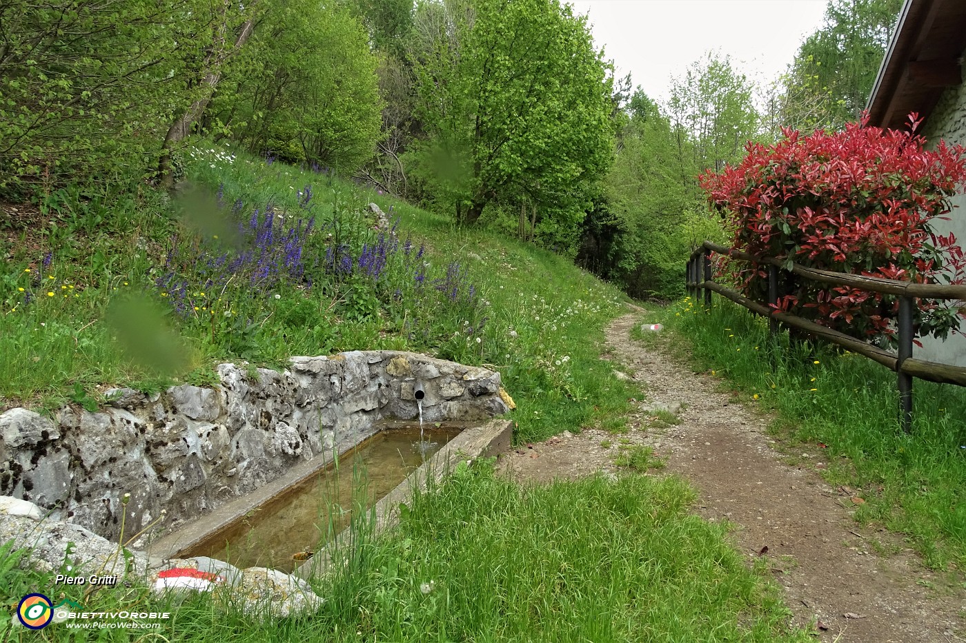 73 Sorgente d'acqua potabile, fresca.JPG